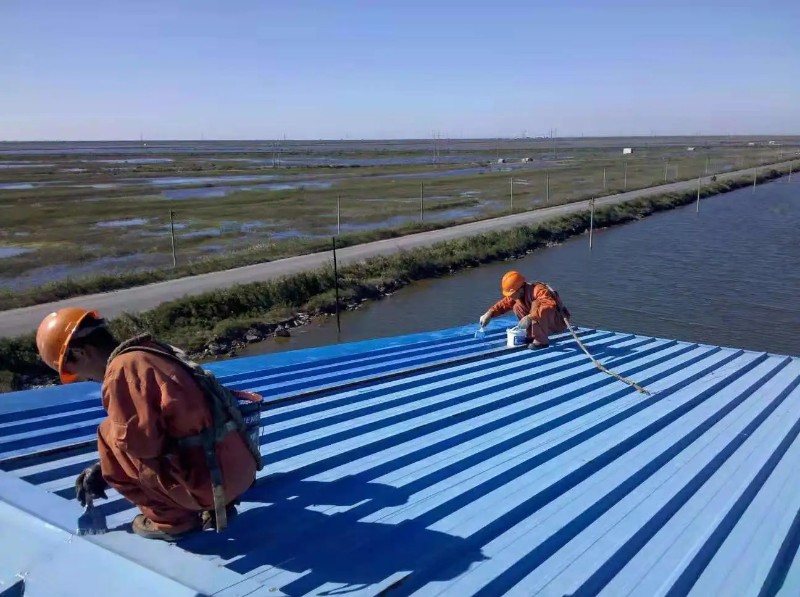 平原彩钢瓦屋面防腐翻新